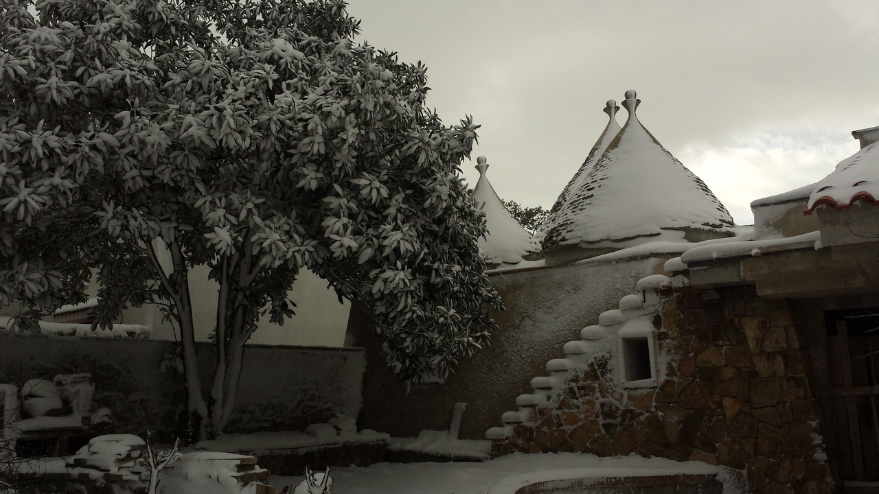Photo of Outdoor in Martina Franca