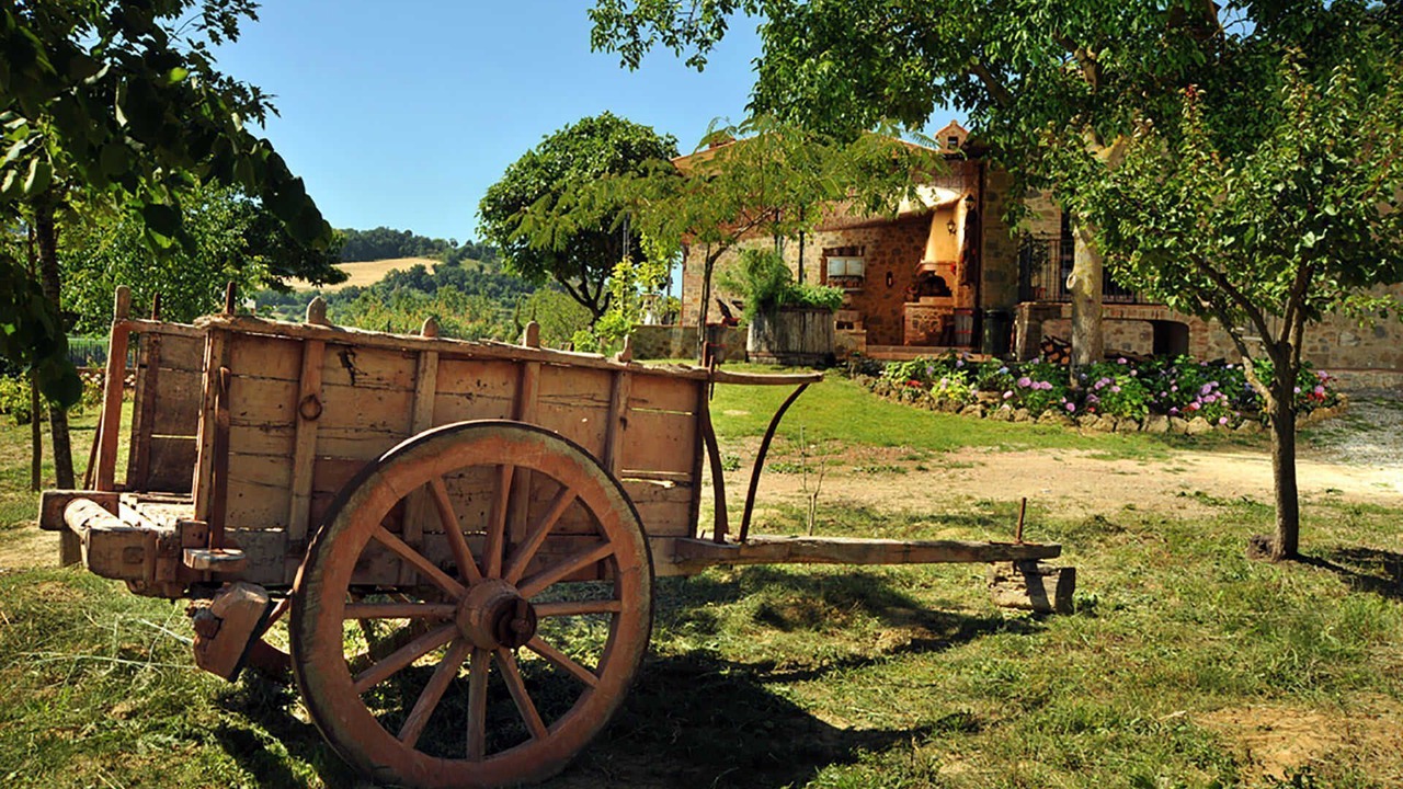Photo of Outdoor in Ficulle