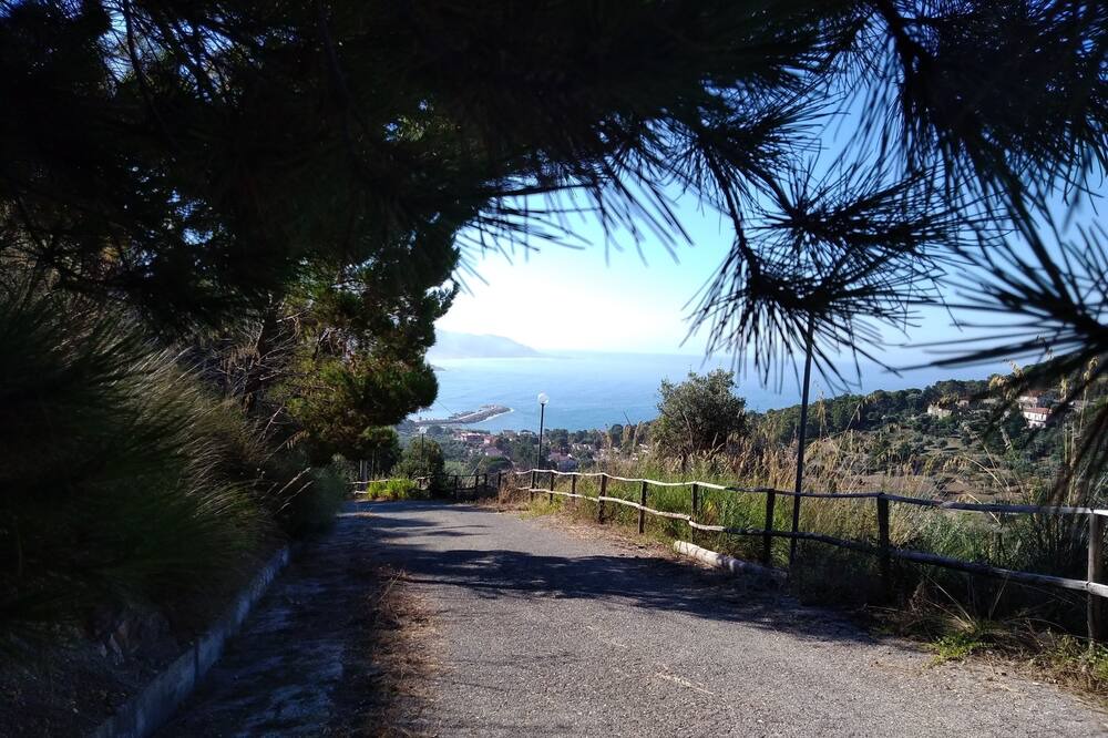 Photo of Others in Montecorice