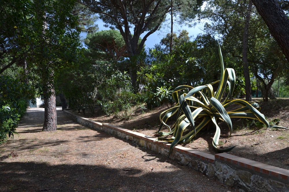 Photo of Outdoor in Saline Sadun