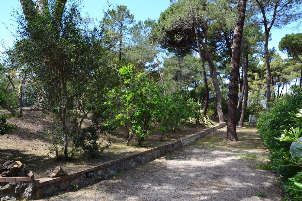 Photo of Outdoor in Saline Sadun