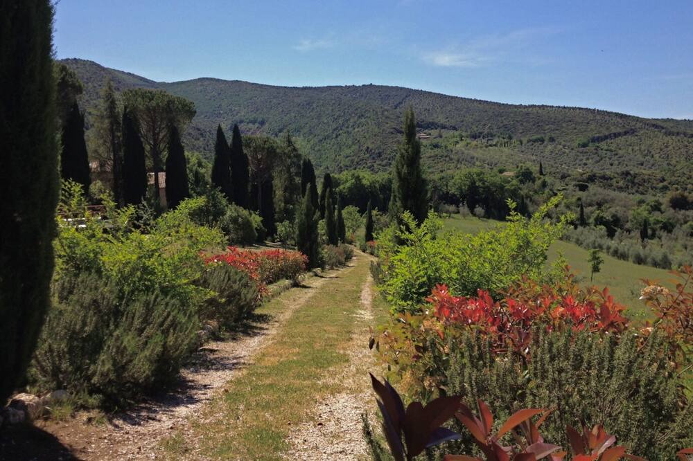 Photo of Outdoor in Baschi