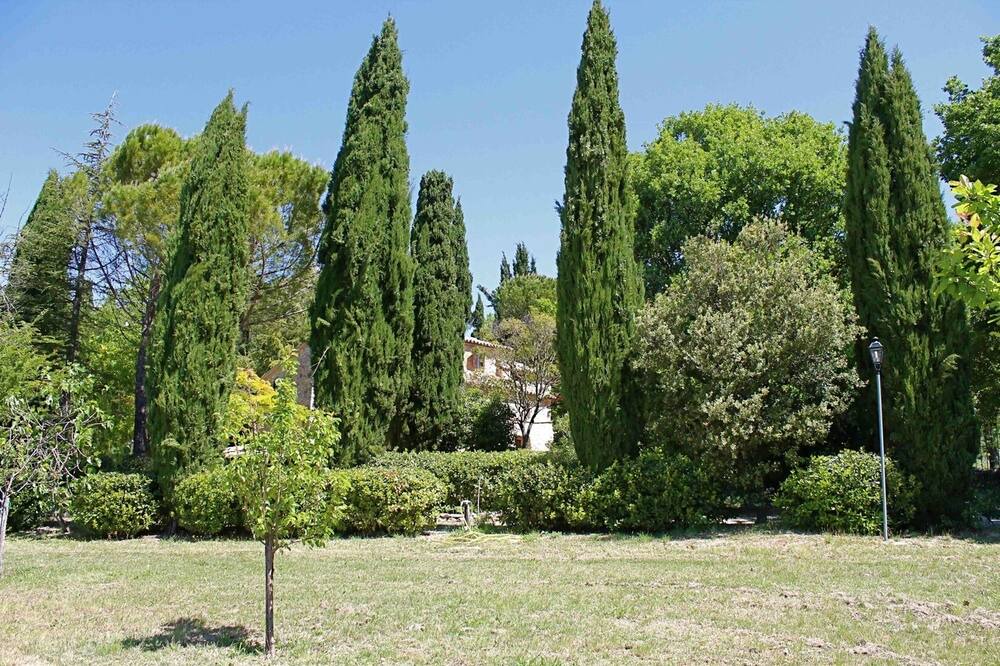 Photo of Outdoor in Baschi
