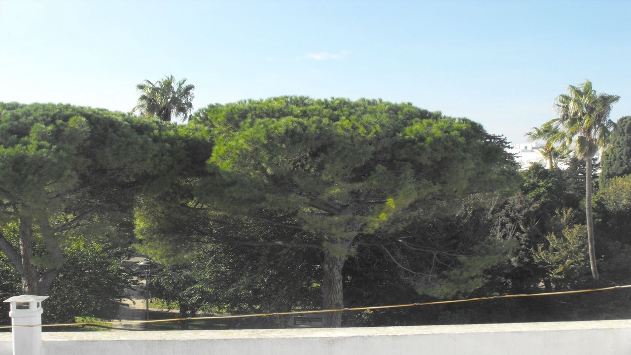 Photo of Others in Ostuni
