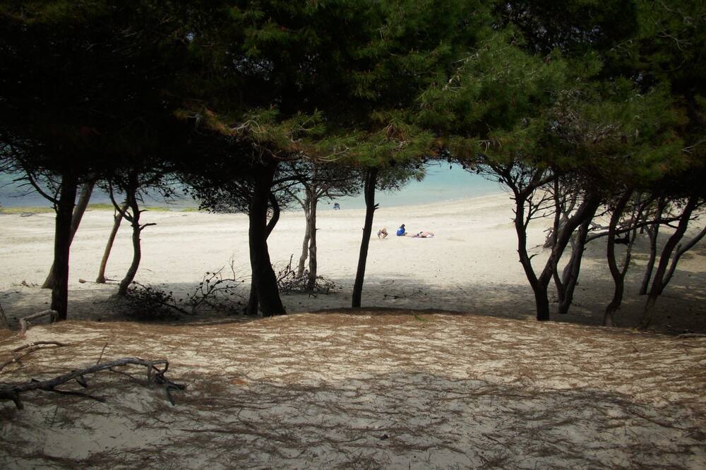 Photo of Others in Rivabella