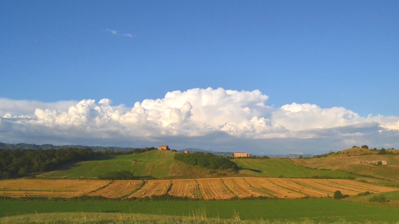 Photo of Others in Cetona