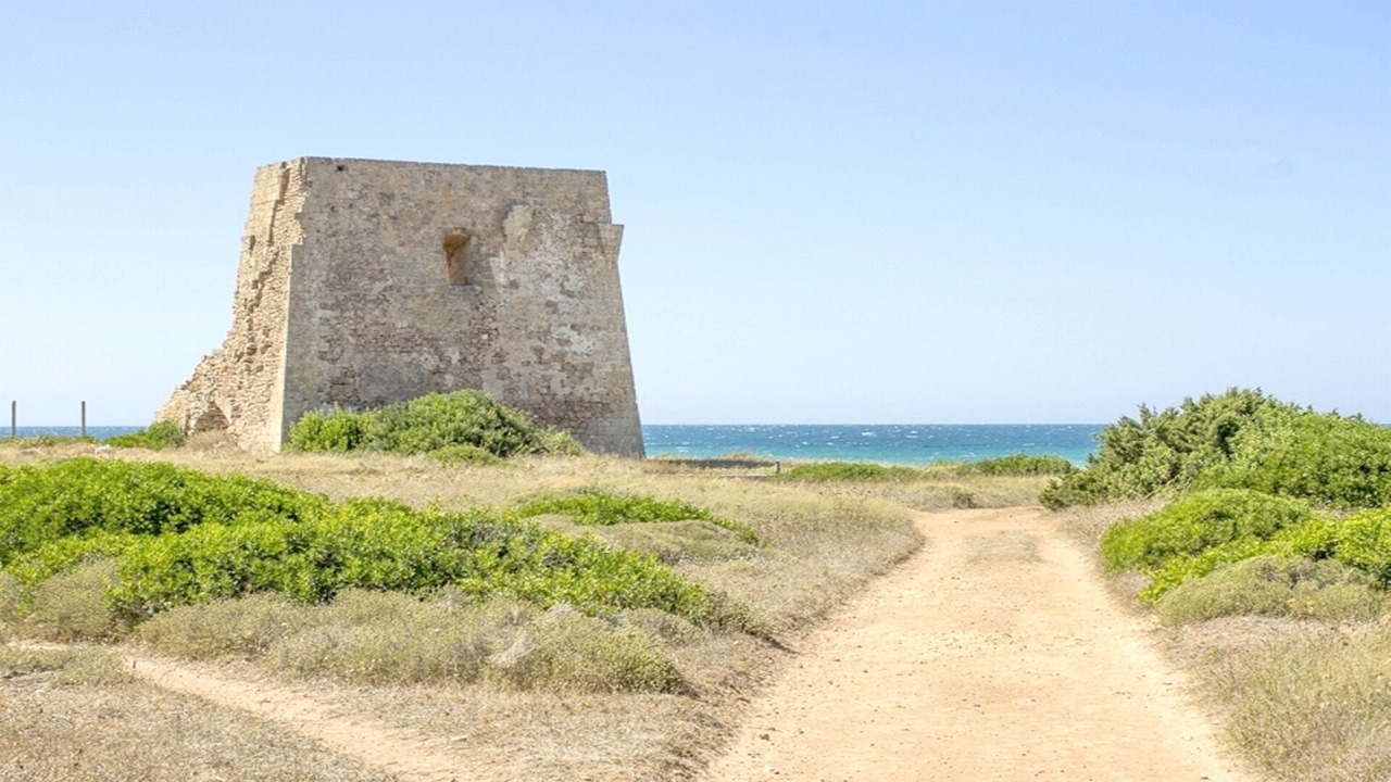 Photo of Others in Ostuni