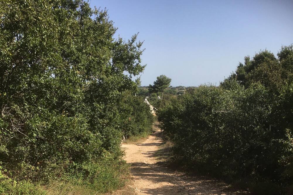 Photo of Outdoor in Martina Franca
