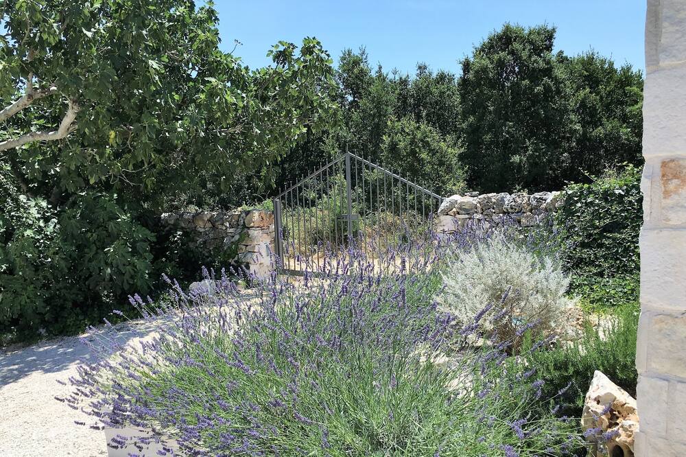 Photo of Outdoor in Martina Franca
