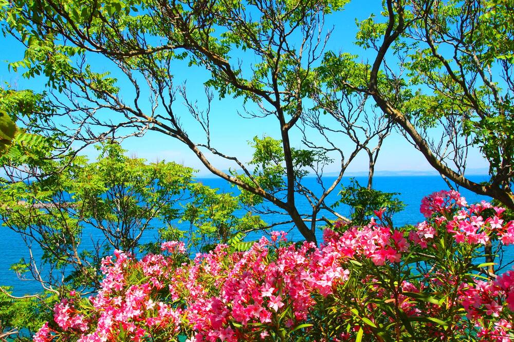 Photo of Outdoor in Porto Santo Stefano