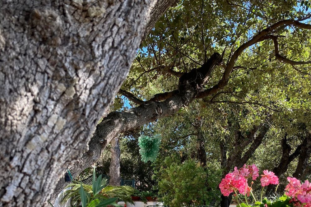 Photo of Outdoor in Porto Santo Stefano