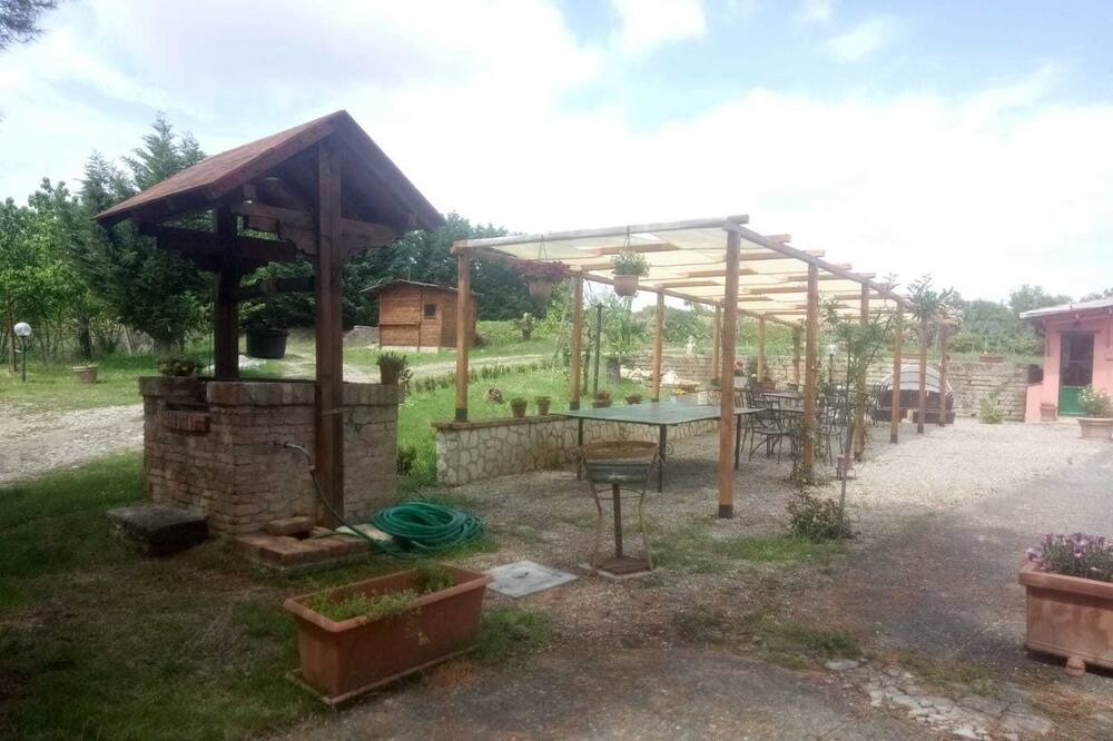Photo of Outdoor in Castiglione del Lago