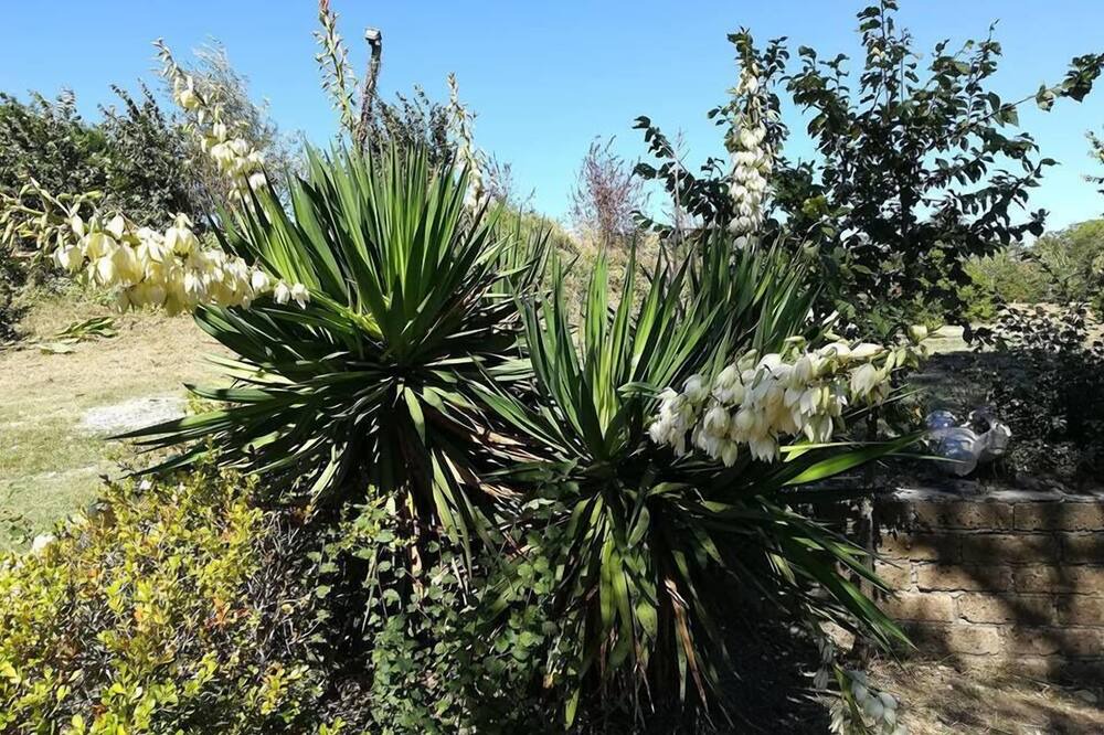 Photo of Outdoor in Castiglione del Lago