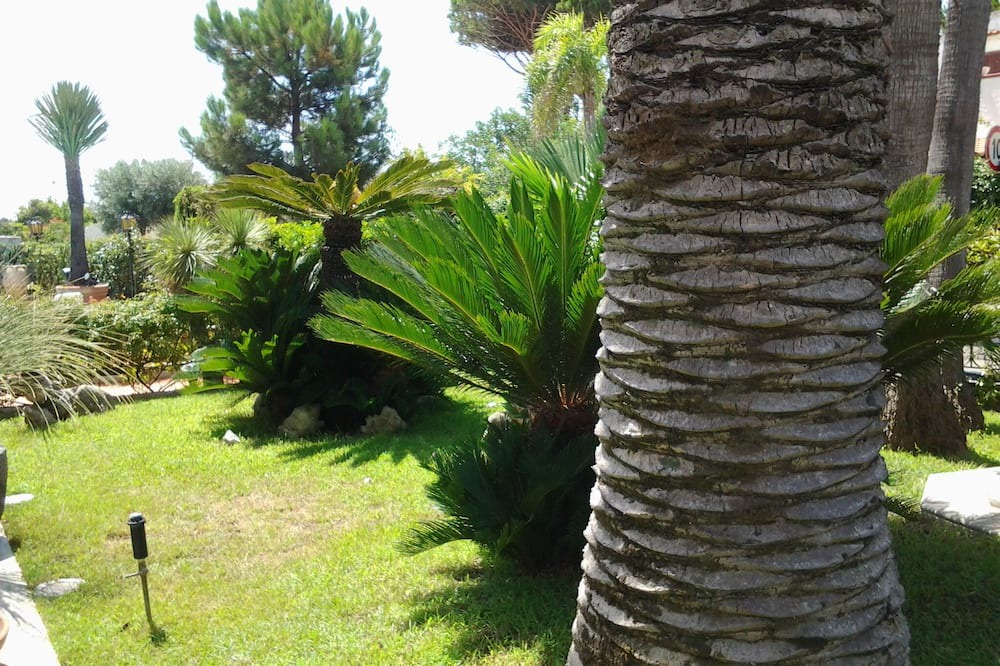 Photo of Outdoor in Colonia Elena