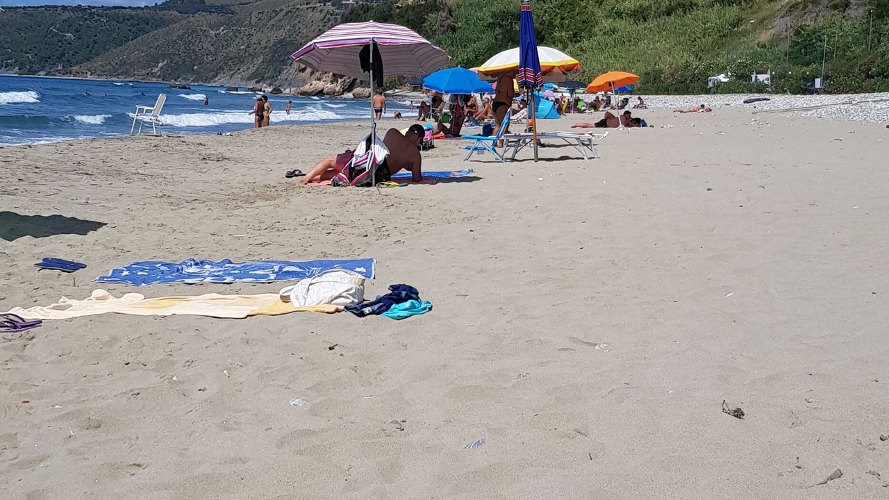 Photo of Others in Marina Lido