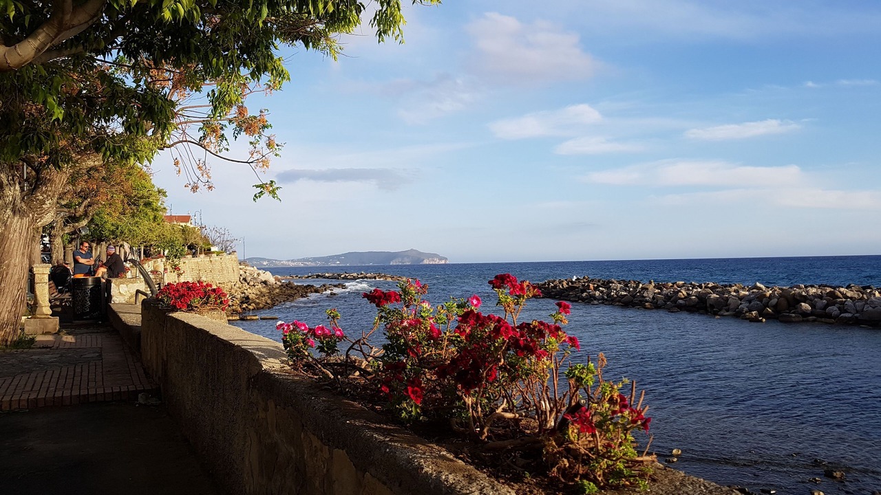 Photo of Outdoor in Marina Lido