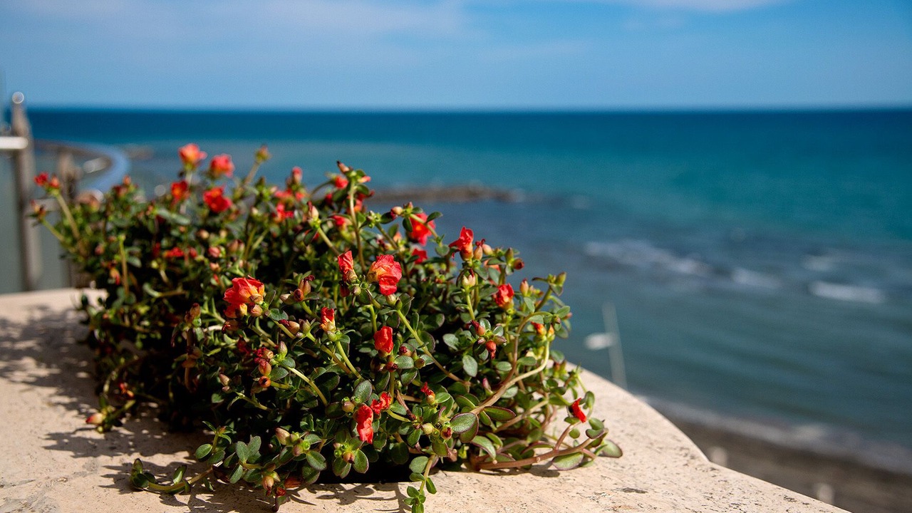 Photo of Others in Quartiere XXXIII Lido di Ostia Ponente