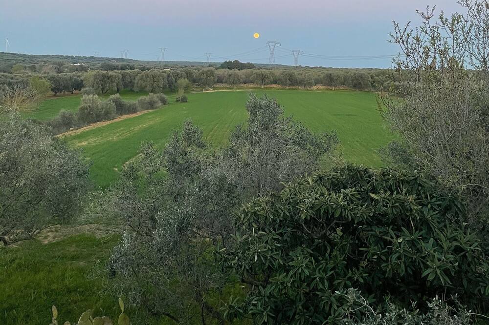 Photo of Others in Villa Castelli