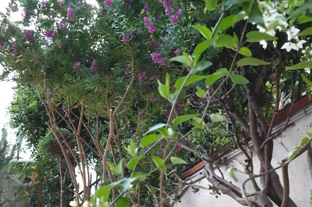 Photo of Outdoor in Formia