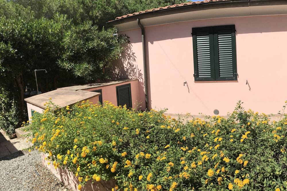 Photo of Outdoor in Lido di Capoliveri