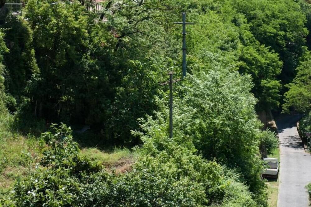 Photo of Outdoor in Capranica