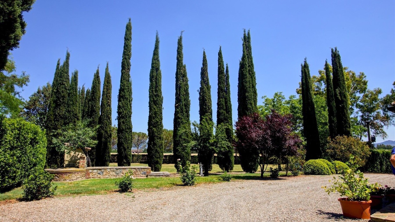Photo of Others in Gavorrano