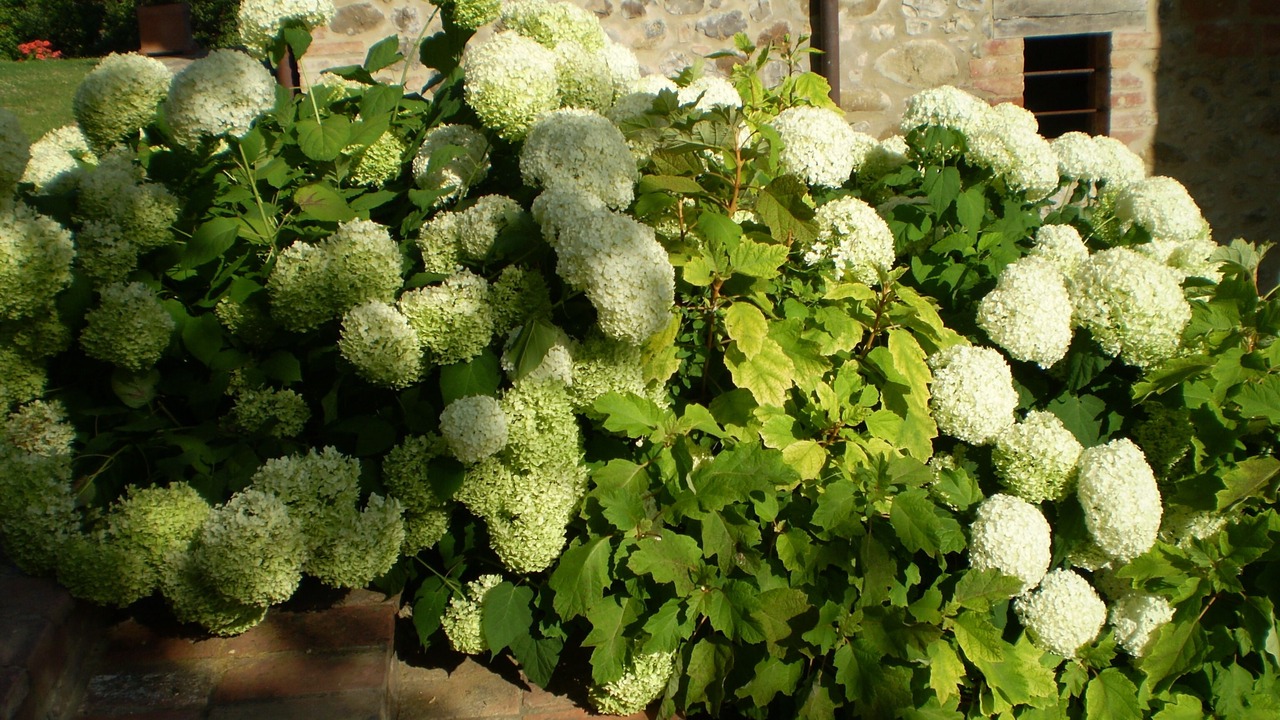 Photo of Outdoor in Citta della Pieve