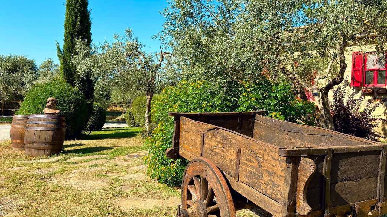 Photo of Others in Braccagni