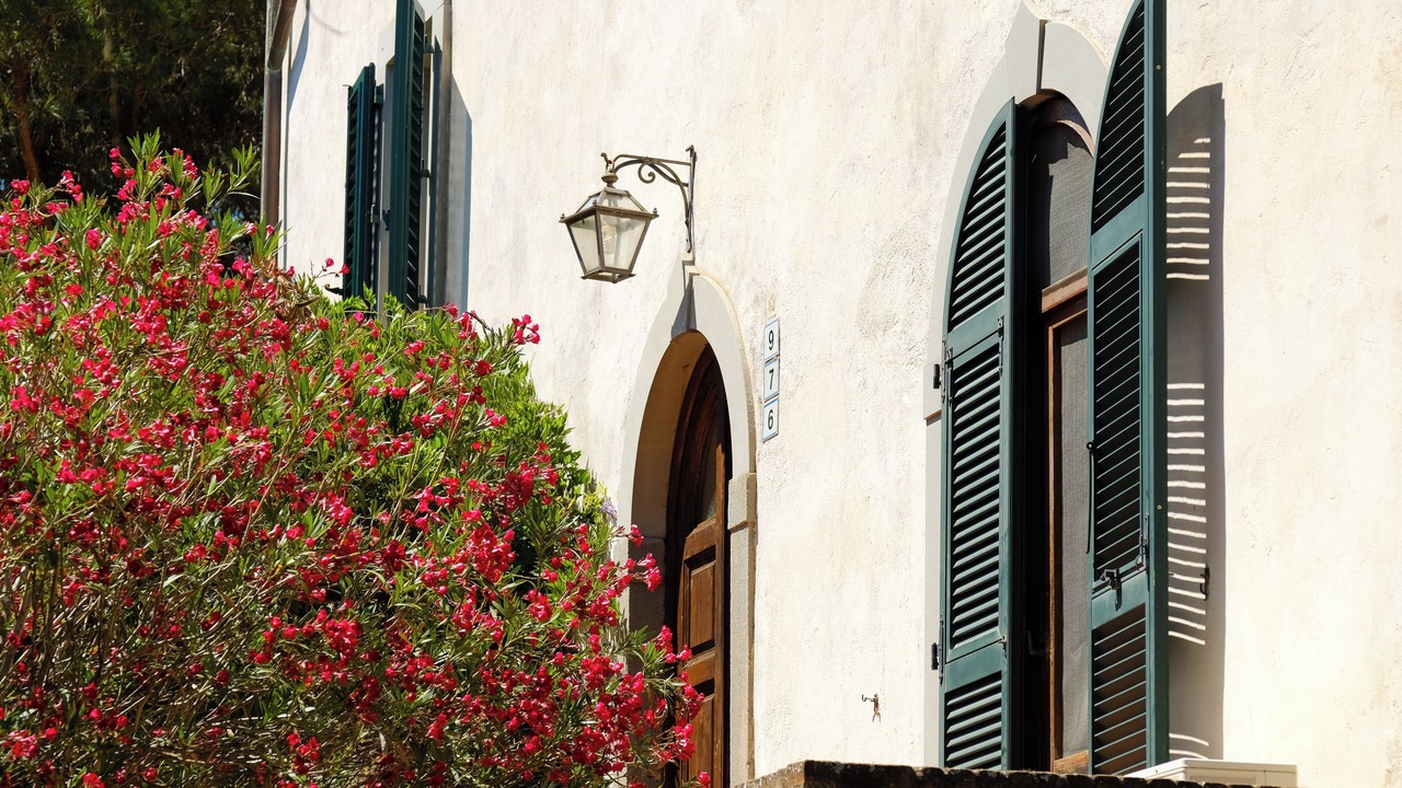 Photo of Outdoor in Marina di Grosseto