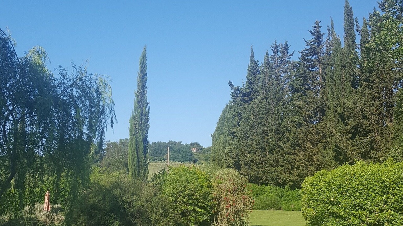 Photo of Outdoor in Capalbio
