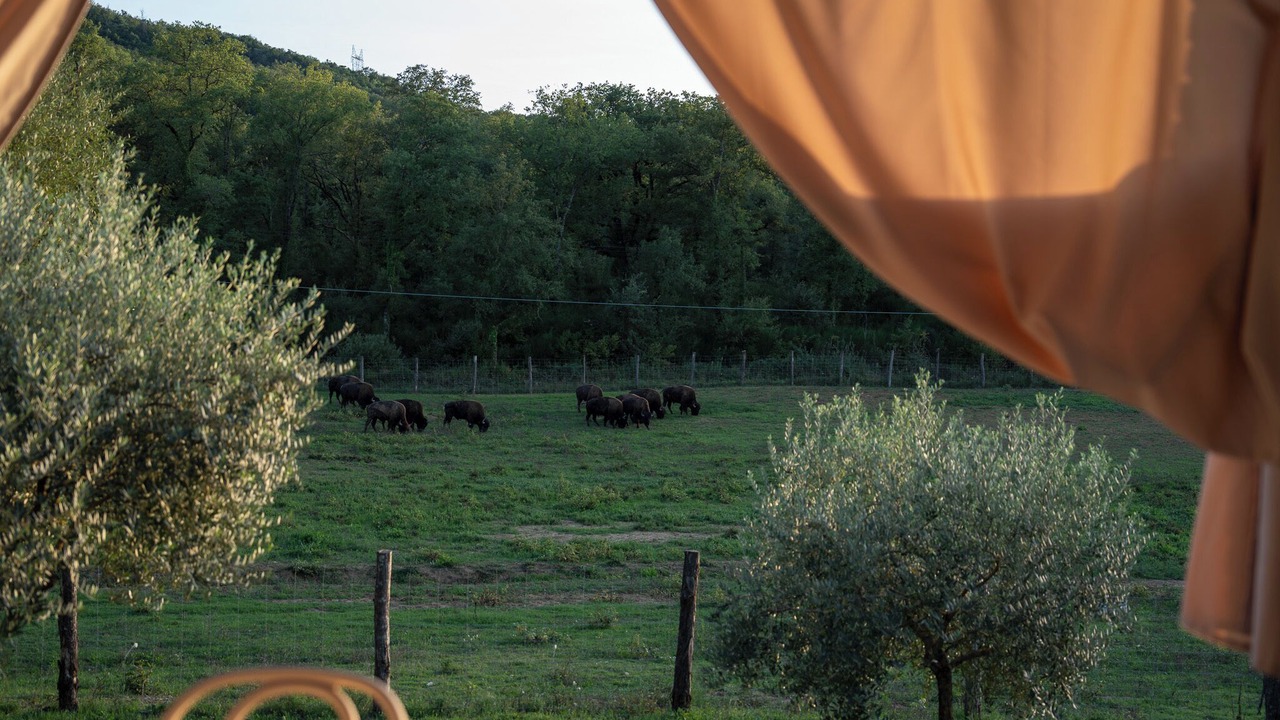Photo of Outdoor in Panicale