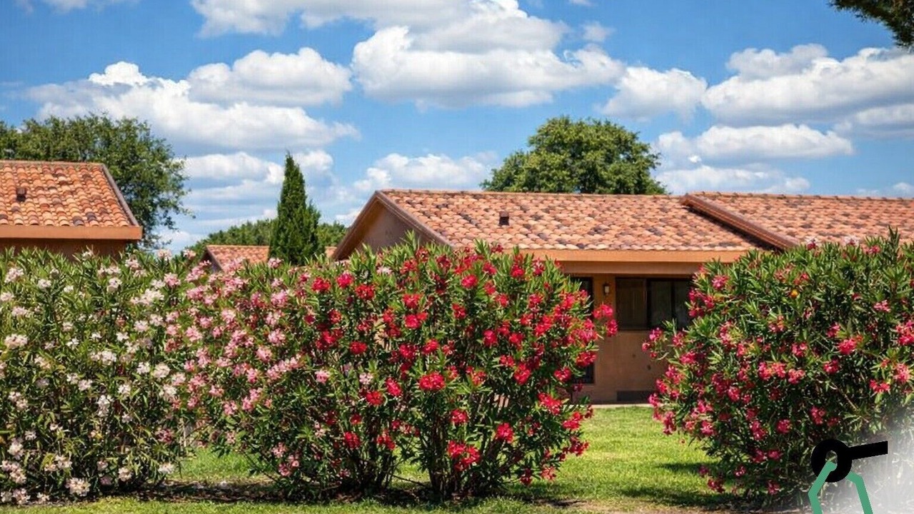 Photo of Outdoor in Marina di Montalto