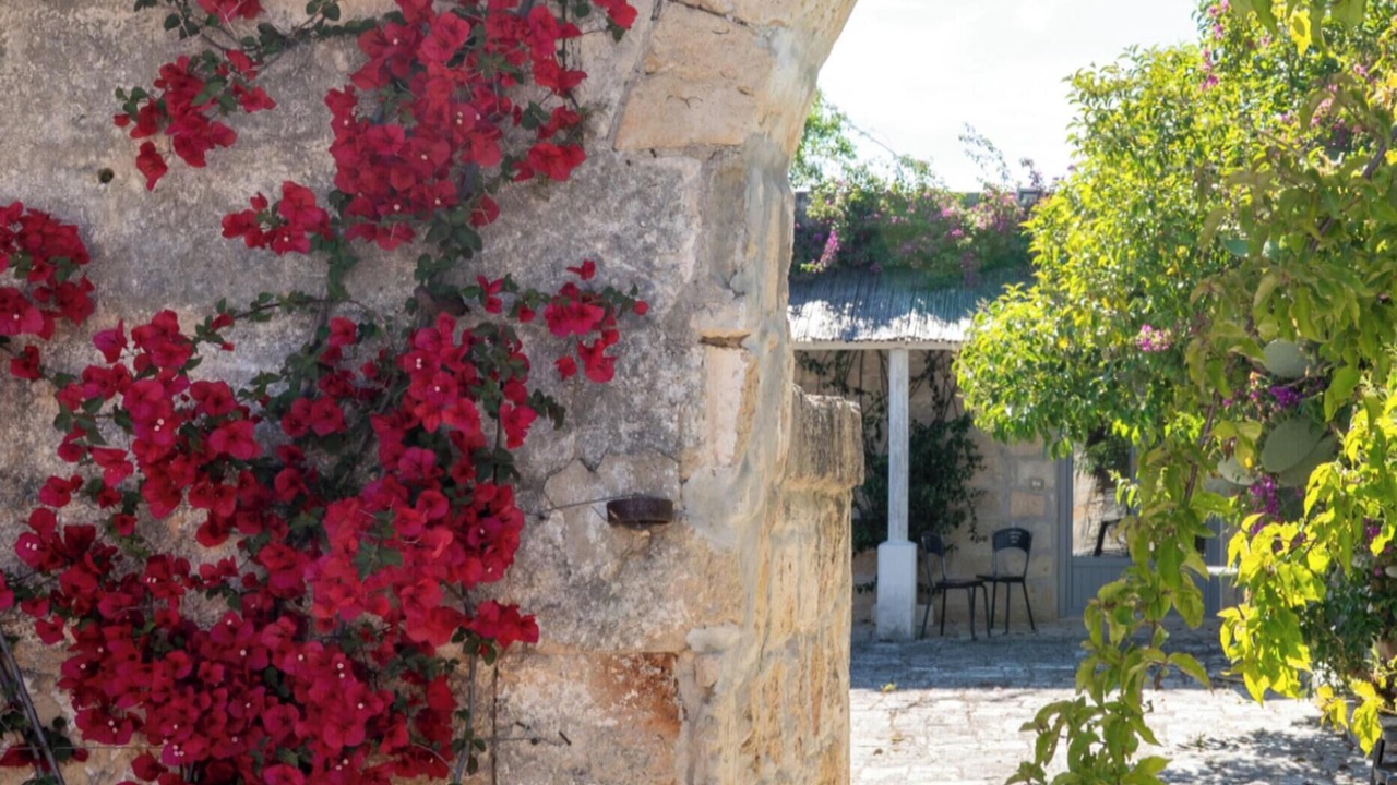 Photo of Outdoor in Brindisi