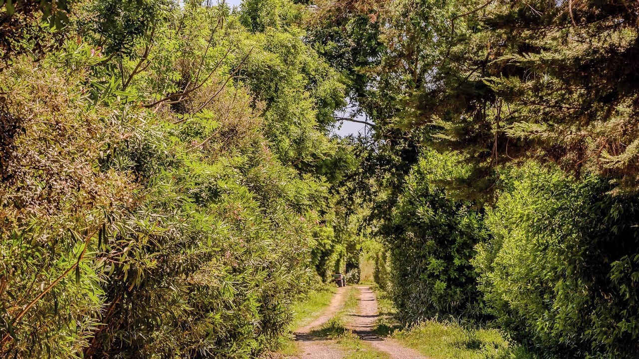 Photo of Outdoor in Grosseto