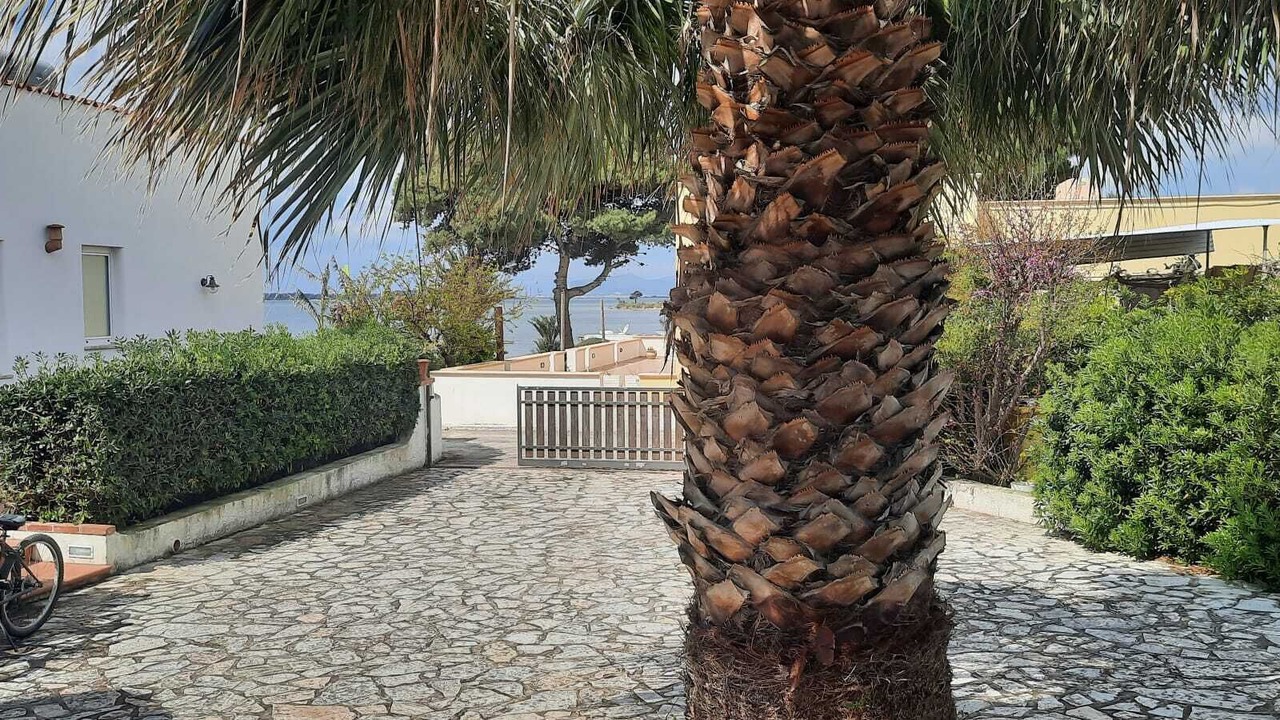 Photo of Outdoor in Birgi Vecchi