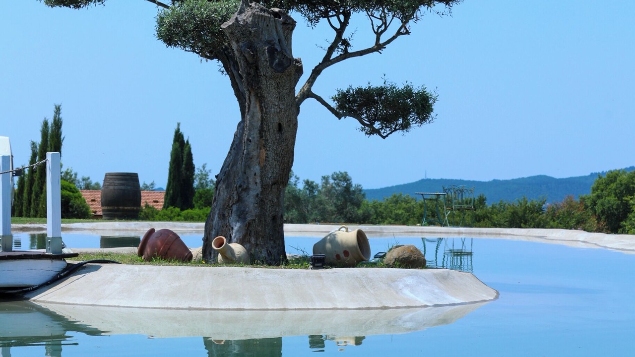 Photo of Outdoor in Canino