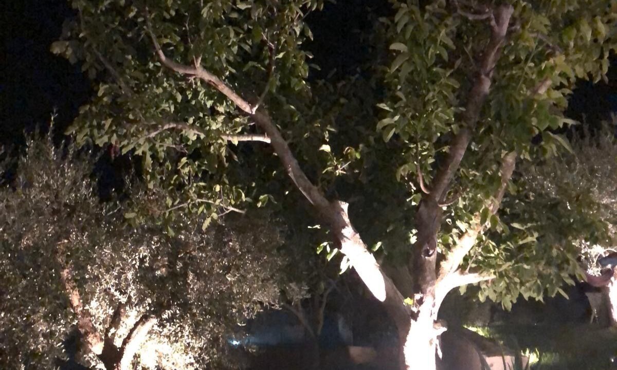 Photo of Outdoor in Martina Franca