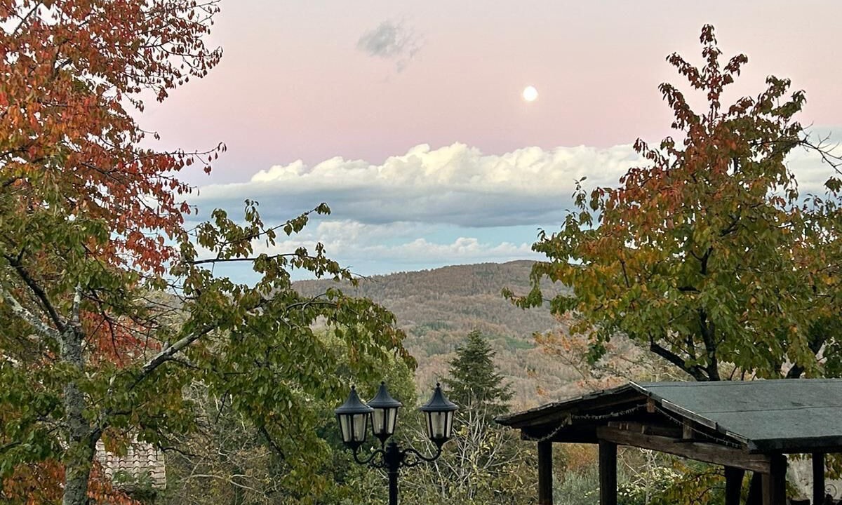 Photo of Outdoor in Torniella
