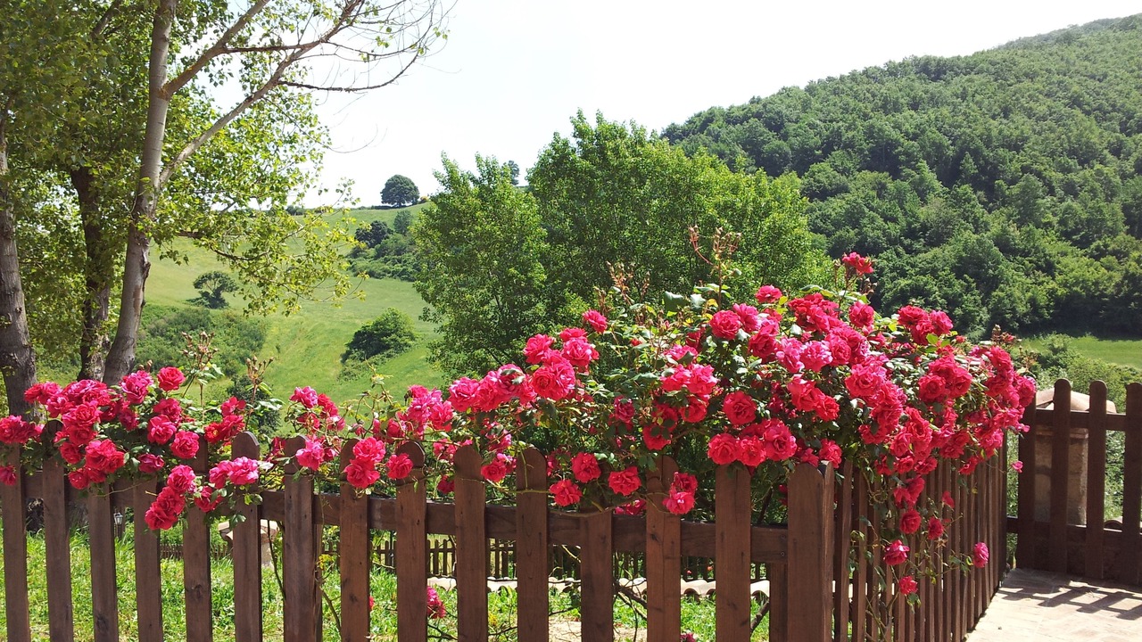Photo of Outdoor in Artena
