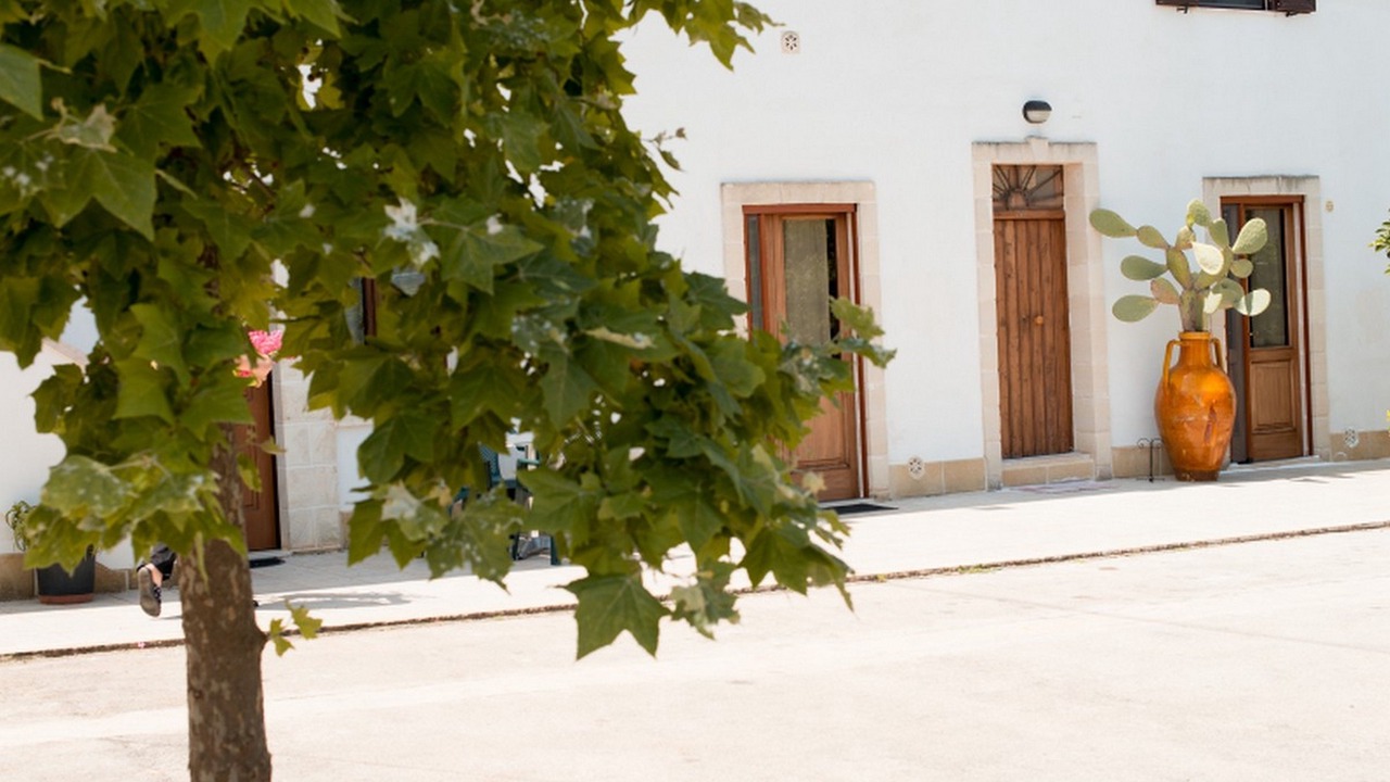 Photo of Outdoor in Fasano