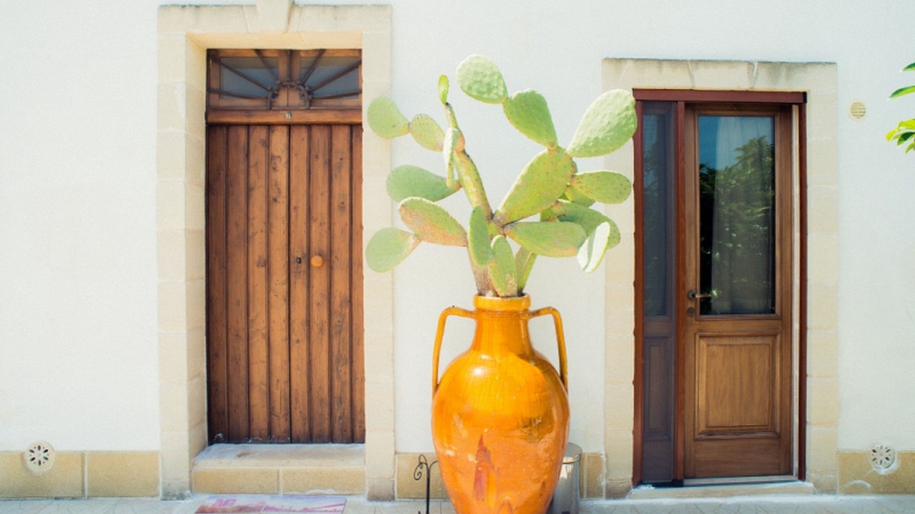 Photo of Outdoor in Fasano