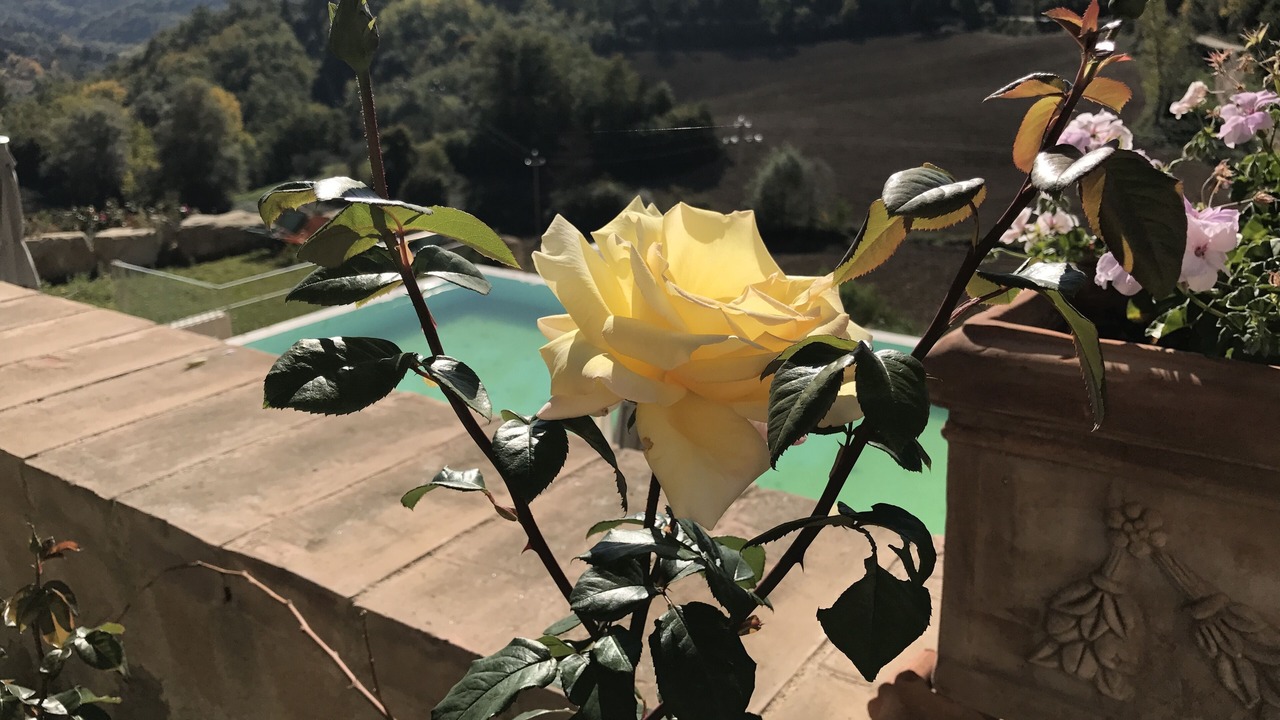 Photo of Outdoor in Montelaguardia