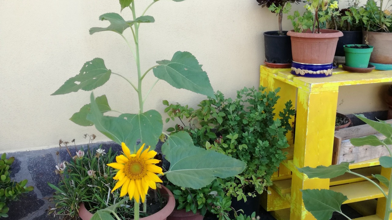 Photo of Outdoor in Isola Sacra