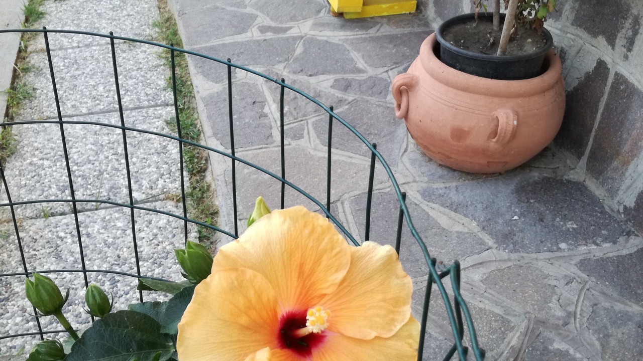 Photo of Outdoor in Isola Sacra