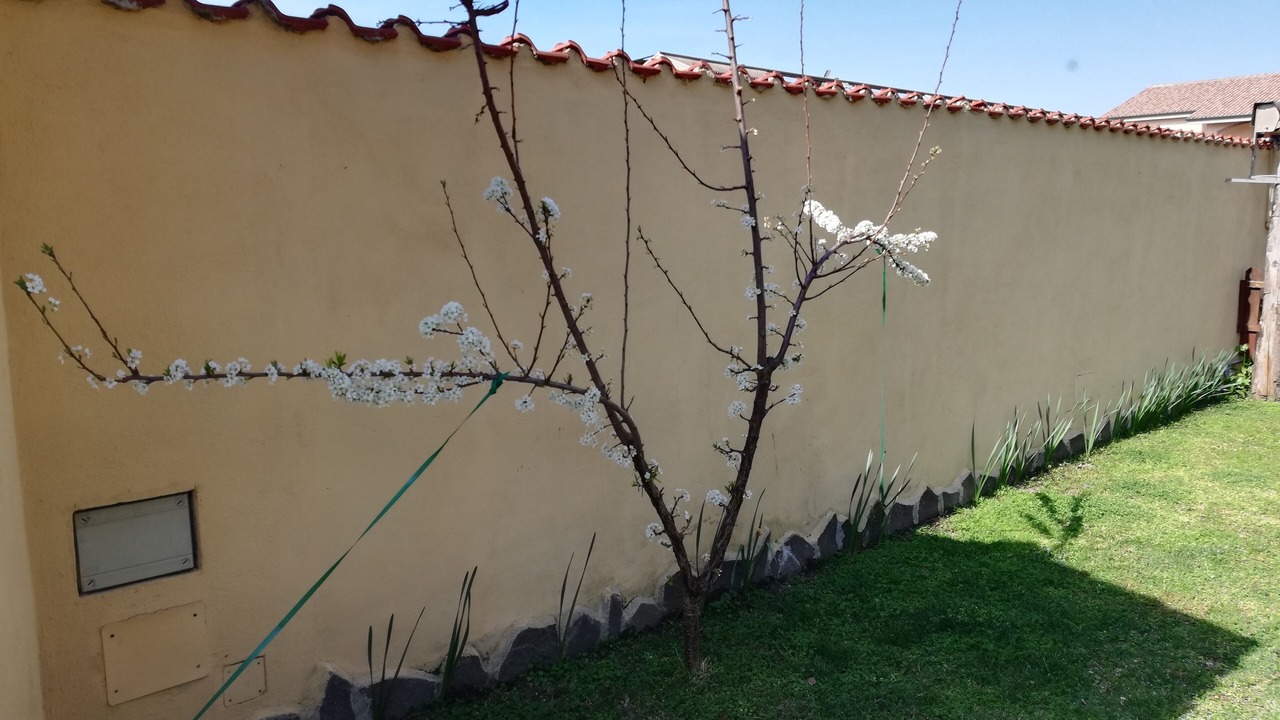 Photo of Outdoor in Isola Sacra