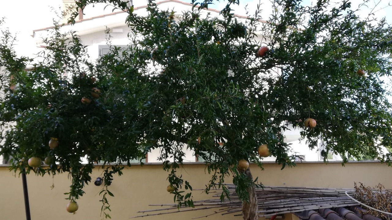 Photo of Outdoor in Isola Sacra
