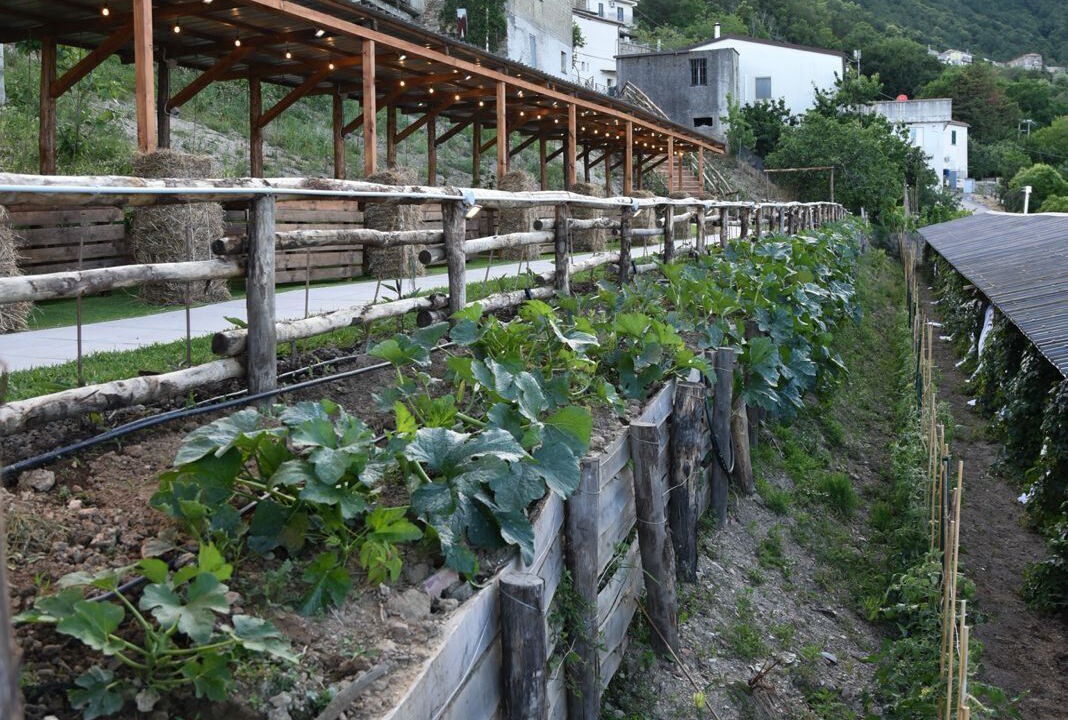 Photo of Outdoor in Stella Cilento