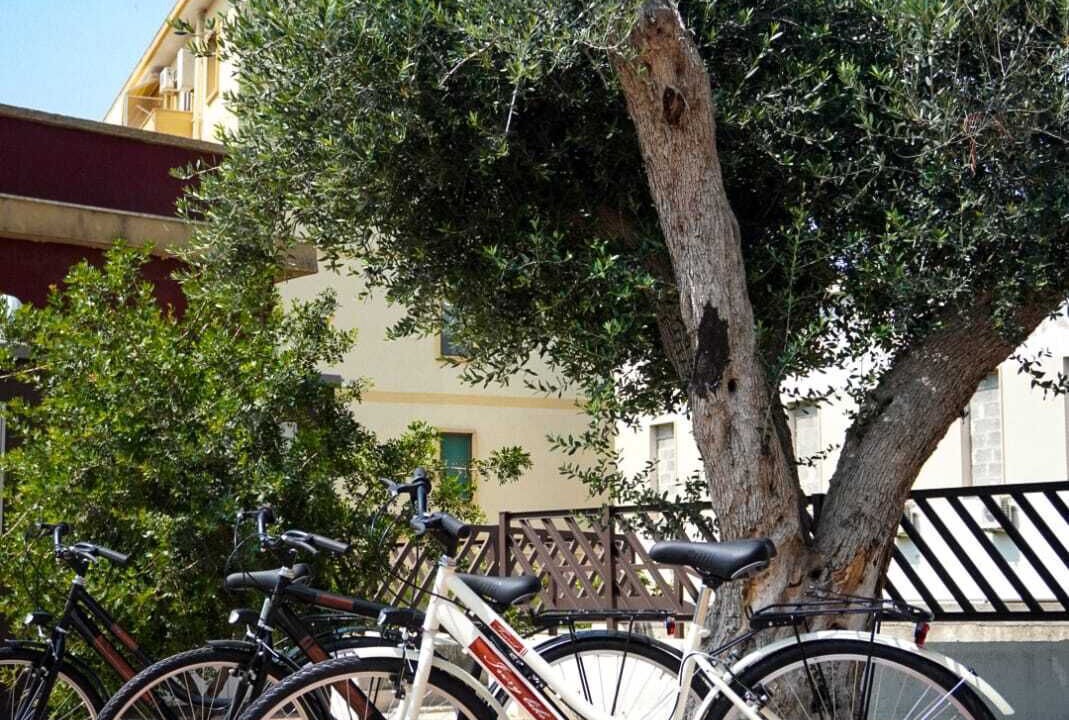 Photo of Others in Brindisi