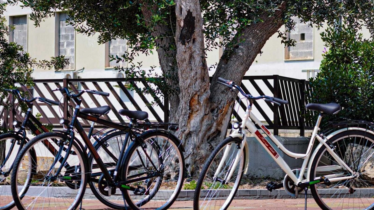 Photo of Others in Brindisi