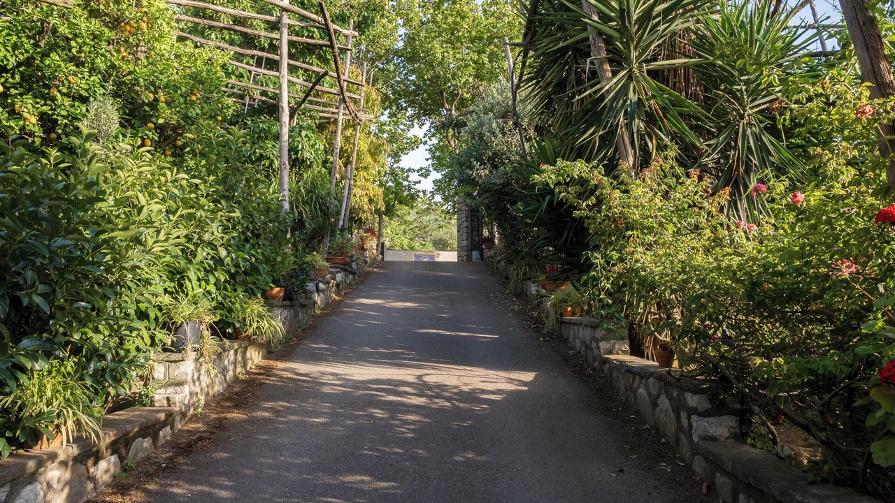 Photo of Outdoor in Piano di Sorrento